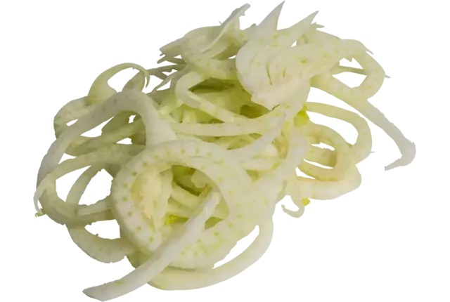 Venkel fijn 3mm plak zak 1kg